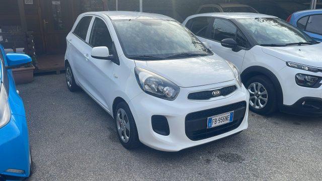 KIA Picanto 1.0 12V EcoGPL 5 porte City Limited