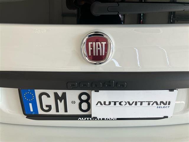 FIAT Panda 1.0 FireFly Hybrid 70cv City Life S&S 5p.ti