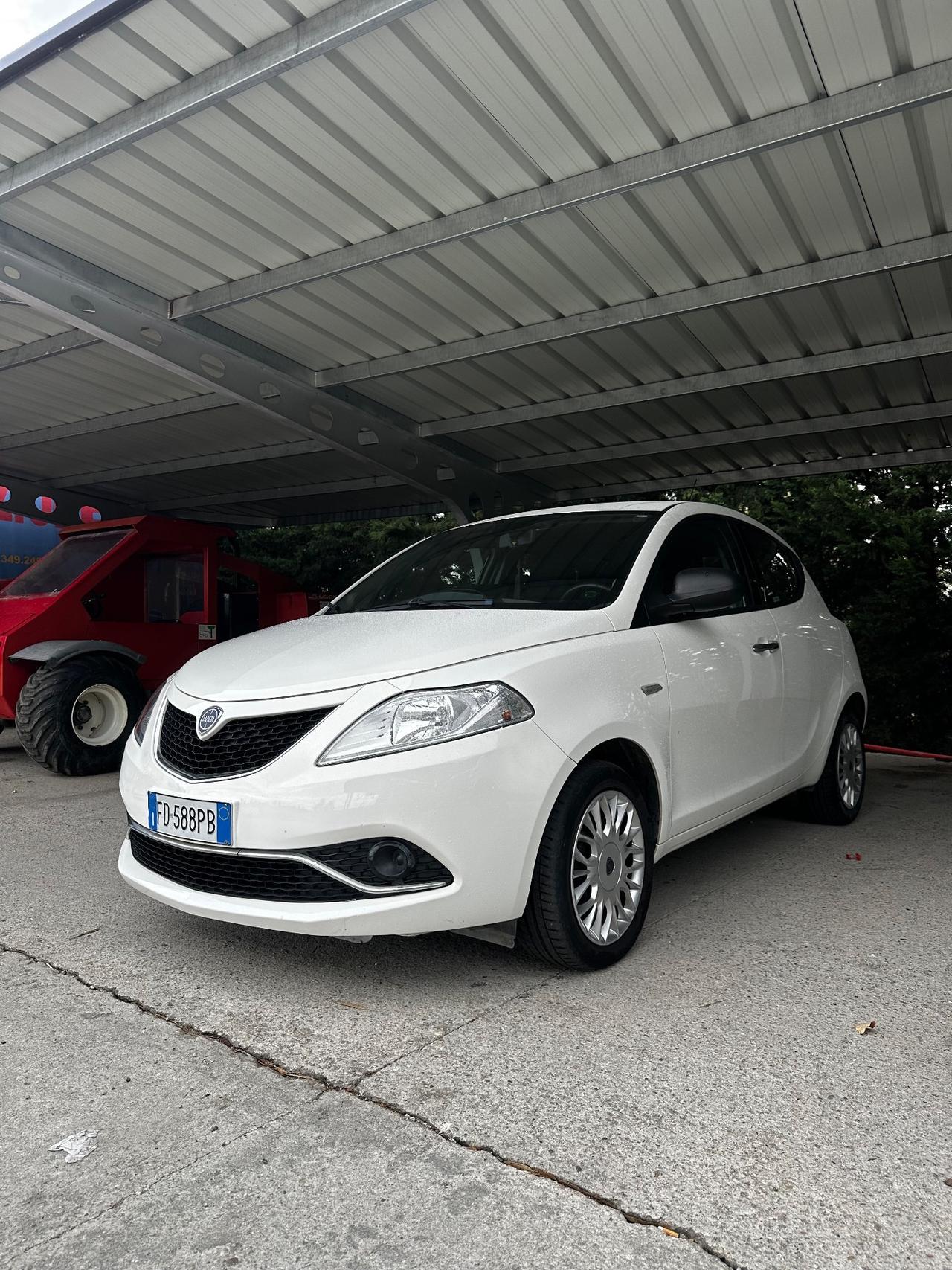 Lancia Ypsilon 1.3 MJT 16V 95 CV 5 porte S&S Gold