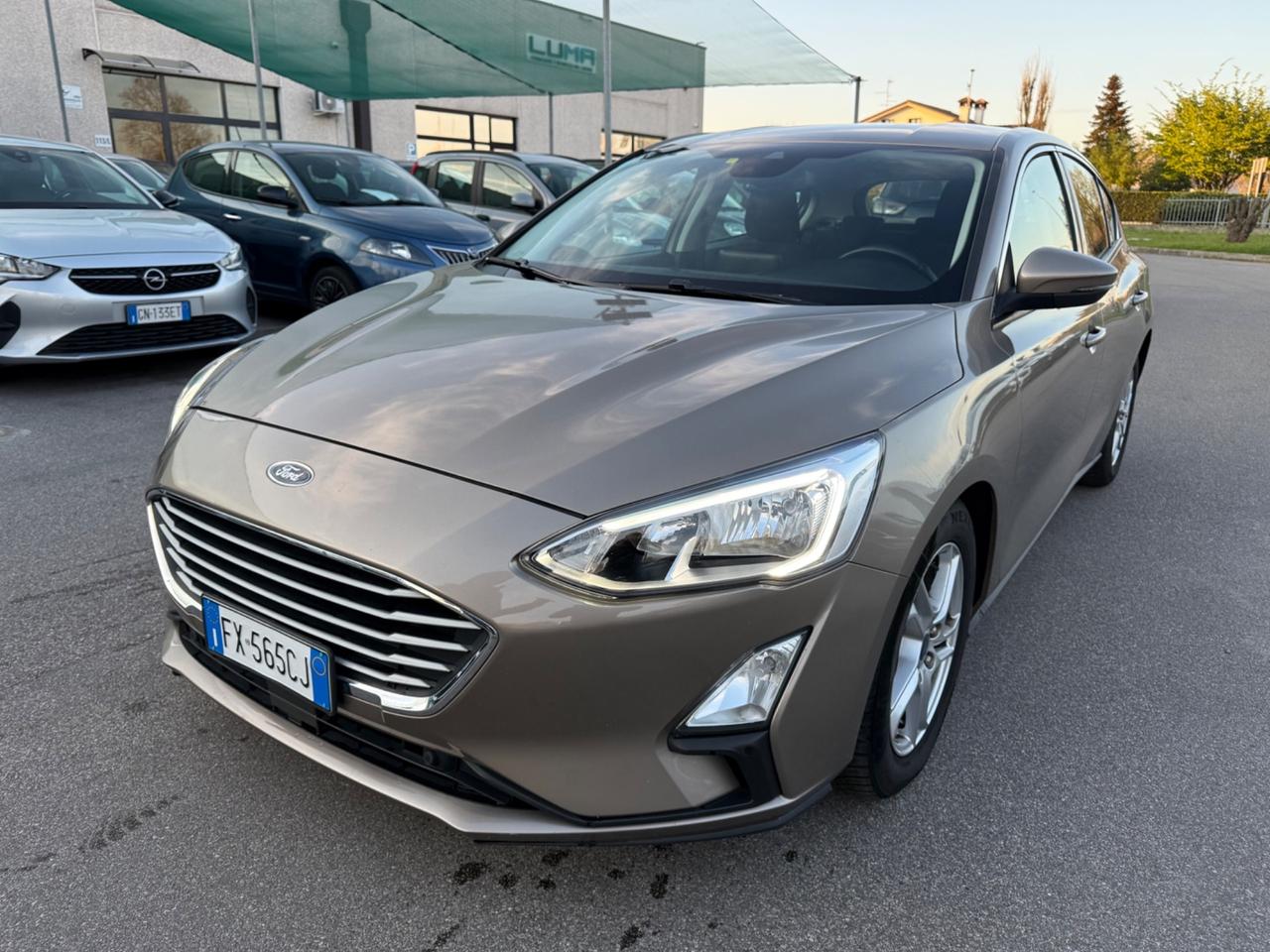 Ford Focus 1.5 EcoBlue 120 CV automatico 5p. Business Co-Pilot