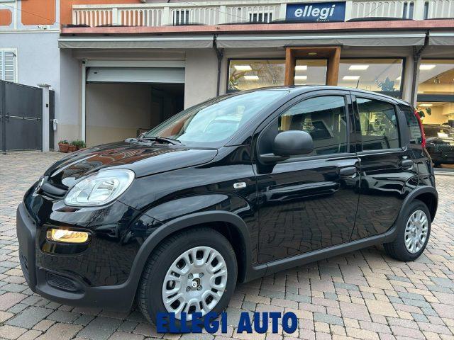 FIAT Panda PROMO FINANZ.PANDINA 1.0 Hybrid KM 0