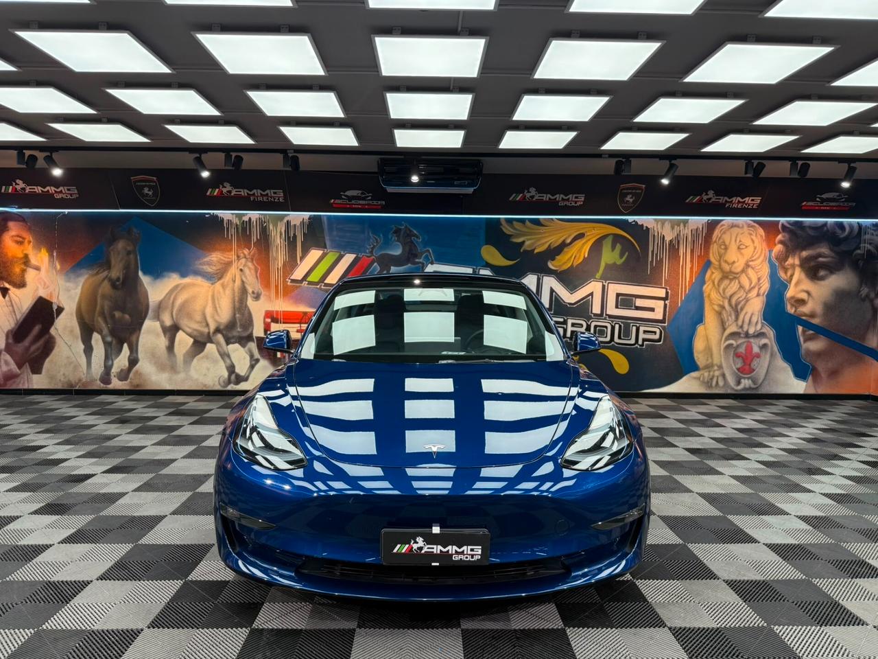 Tesla Model 3 Long Range Dual Motor AWD (369)