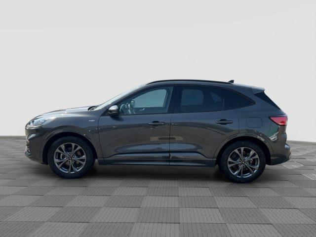 FORD Kuga Kuga 1.5 EcoBlue 120 CV 2WD ST-Line