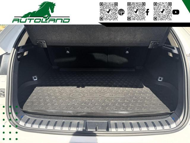LEXUS NX 300 Hybrid 4WD Executive 155 CV