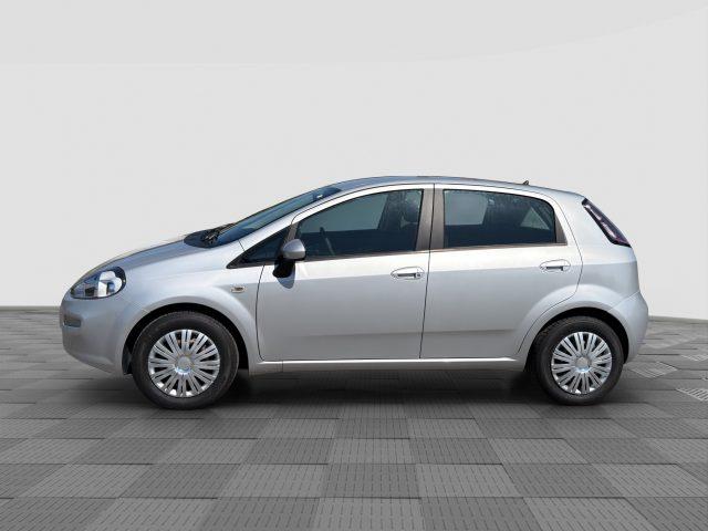 FIAT Punto Punto 1.2 8V 5 porte Street
