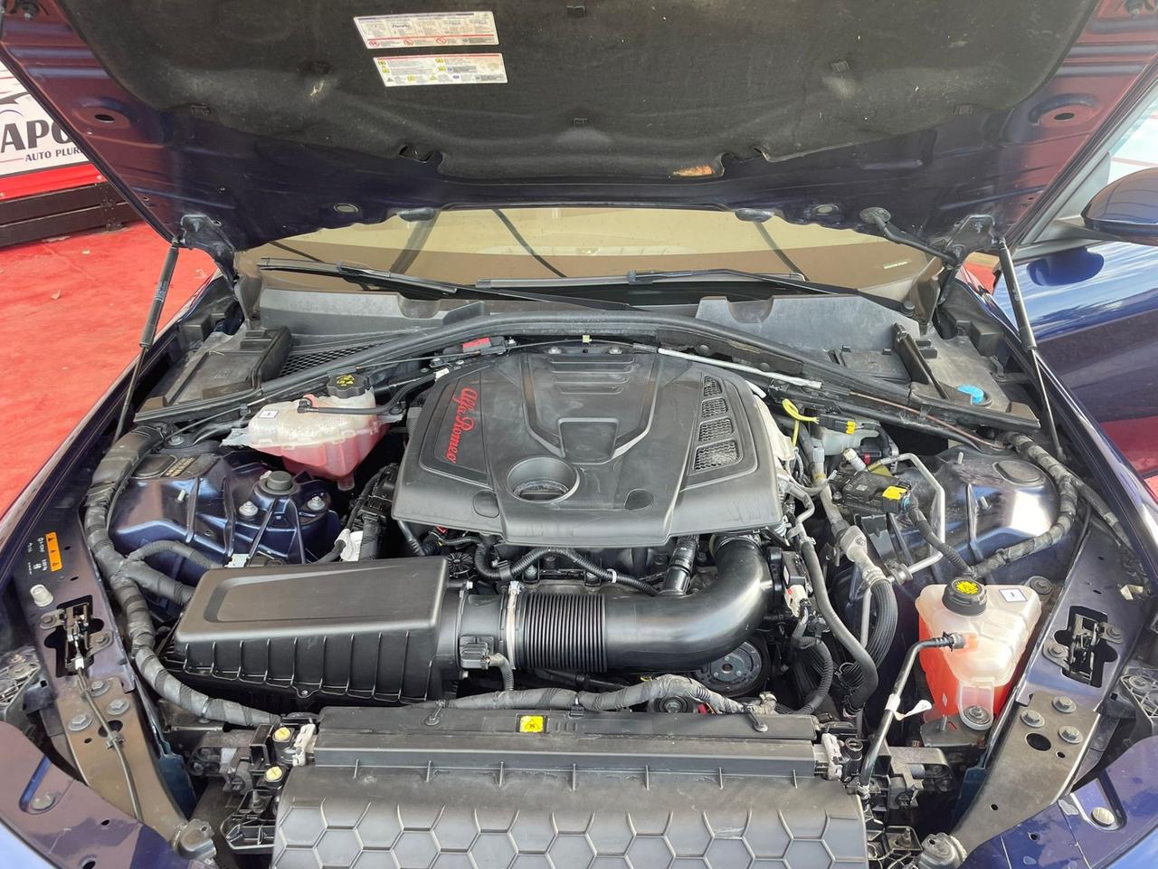 Alfa Romeo Giulia 2.0 Turbo 280 CV AT8 AWD Q4 Veloce