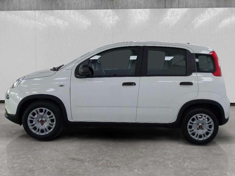 FIAT Panda 1.0 firefly hybrid s&s 70cv
