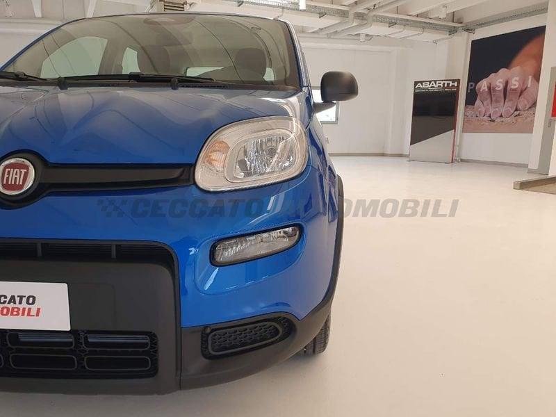 FIAT Panda Panda 1.0 70cv Hybrid Panda