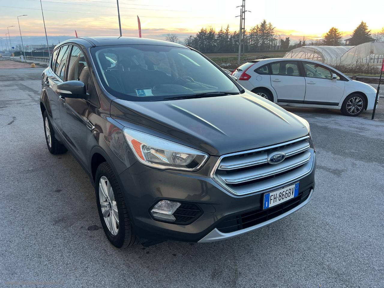 FORD Kuga 1.5 EcoBoost 120 CV S&S 2WD Plus NUOVO MODELLO