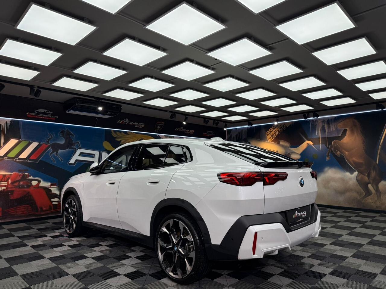 Bmw X2 xDrive 20d MSport (192)