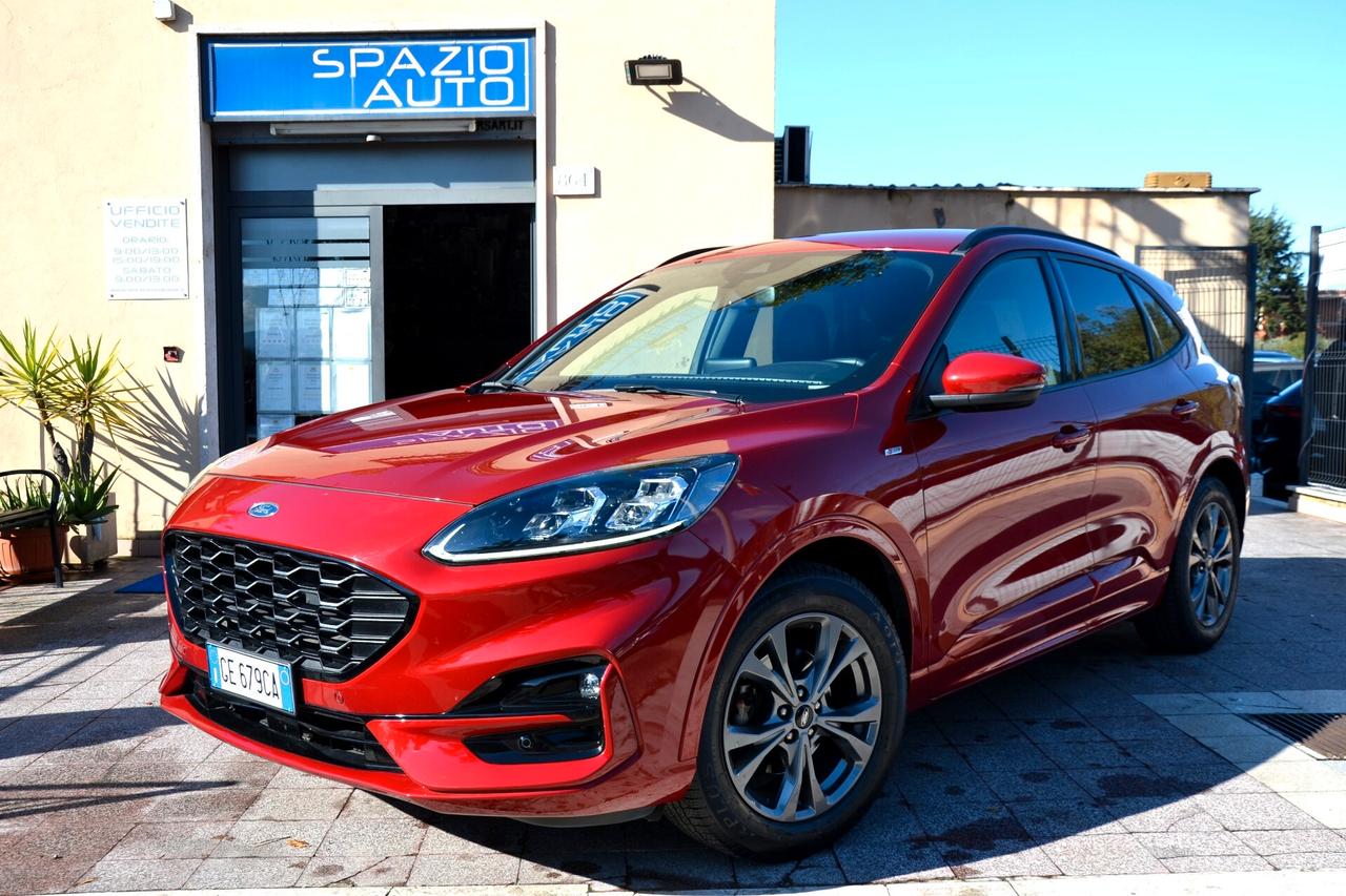 Ford Kuga 1.5 EcoBlue 120 CV 2WD ST-Line X