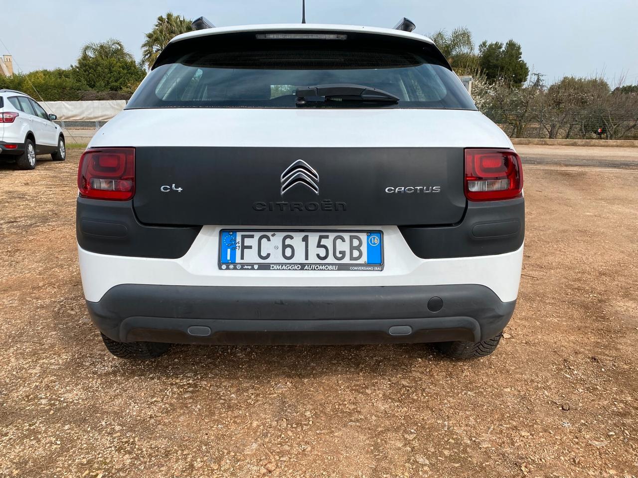 Citroen C4 Cactus 1.6 HDi 100 Cv Shine | 2016