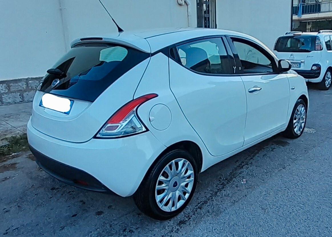 Lancia Ypsilon 1.3 MJT 16V 95 CV 5 porte S&S Platinum