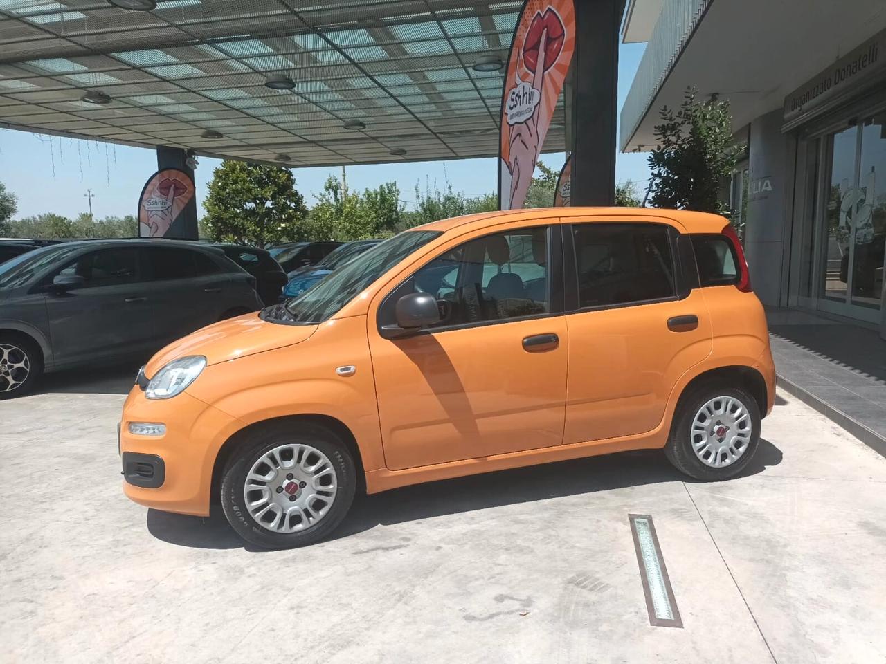 Fiat Panda 1.0 Firefly S&S Hybrid 70 CV