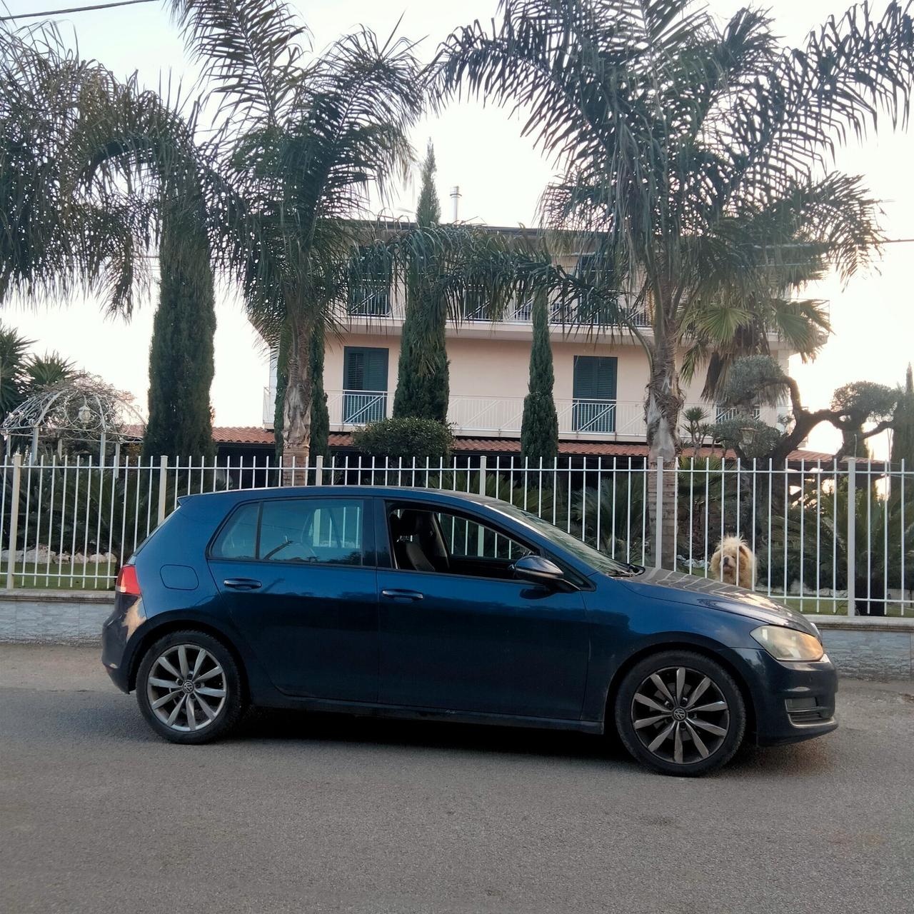 Volkswagen Golf 1.6 TDI 5p. Highline BlueMotion Technology