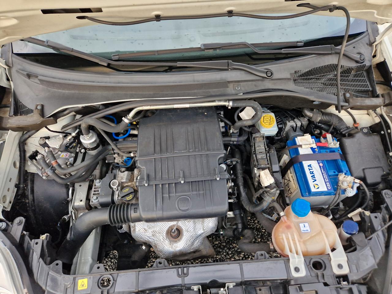 Fiat Punto 1.4 8V 5 porte Easypower Lounge