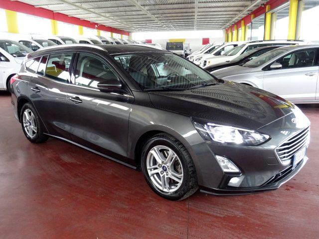 FORD Focus 1.5 EcoBlue 120 CV automatico SW Business Co-Pilot