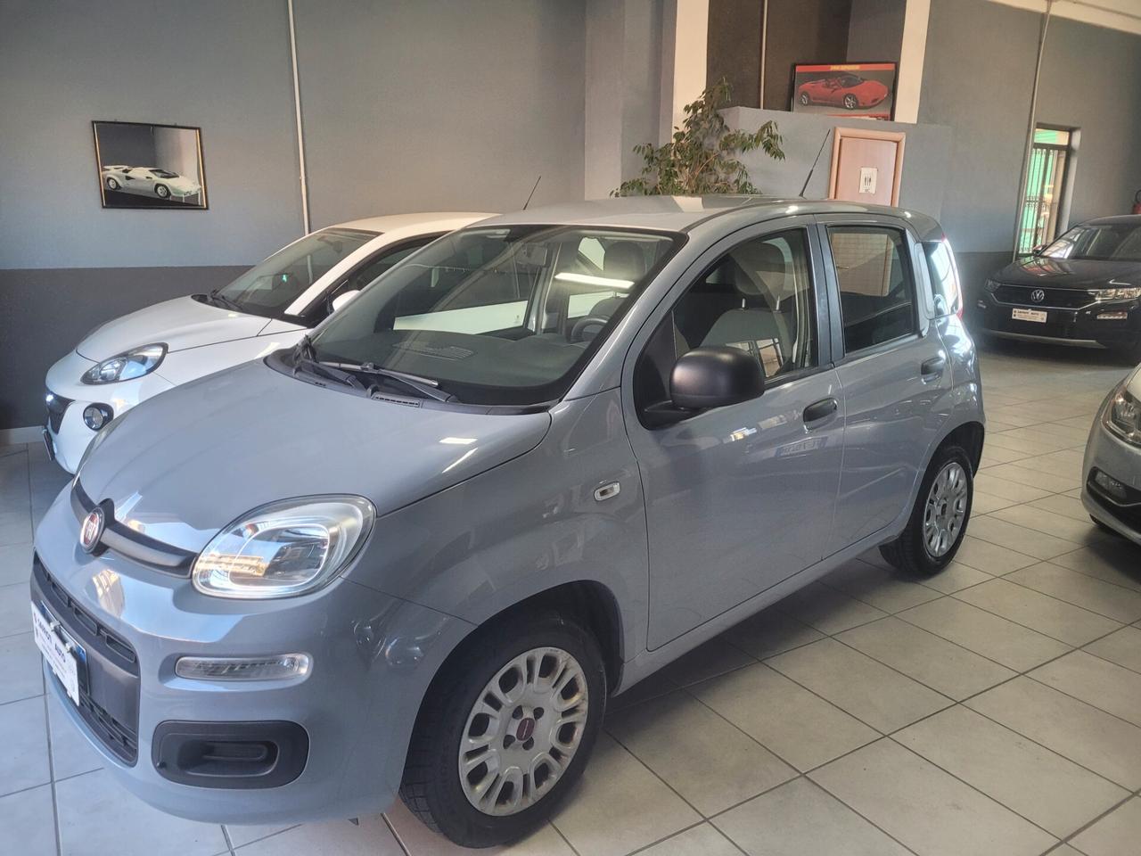 Fiat Panda 1.2 Easy