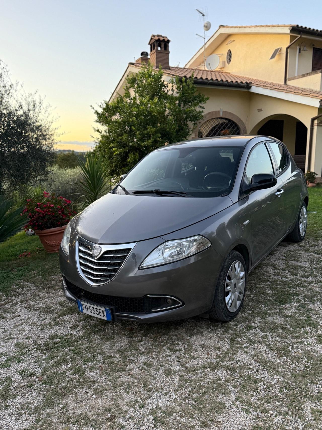 Lancia Ypsilon 1.2 69 CV 5 porte S&S Platinum