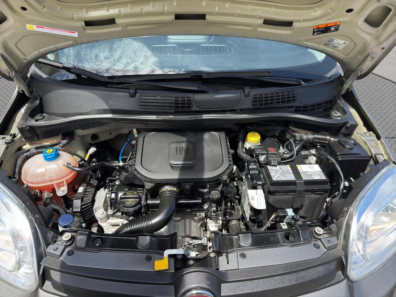 Fiat Panda 1.0 firefly 70cv hybrid Cross 2022