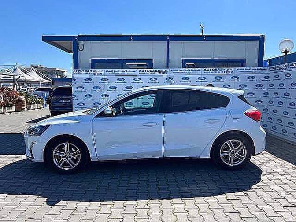 FORD Focus 1.0 EcoBoost 100 CV 5p. Business del 2020