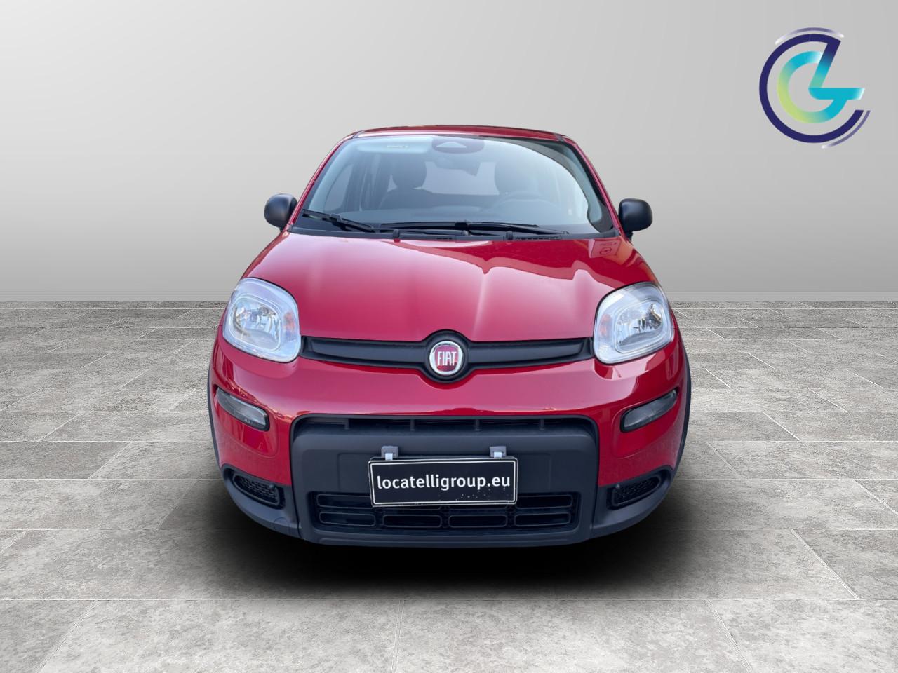 FIAT Panda III 2024 - Panda 1.0 firefly hybrid s&s 70cv