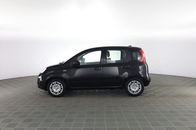 FIAT Pandina Pandina 1.0 FireFly 65 CV Hybrid Icon