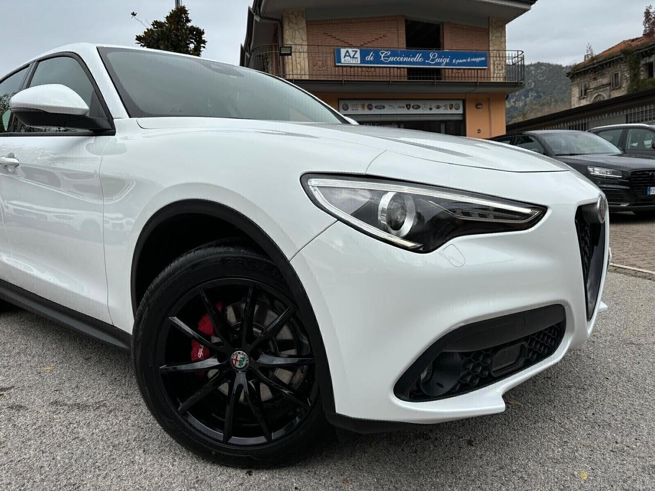 Alfa Romeo Stelvio 2.2 180 CV AT8 Q4 Executive FULL CARBON