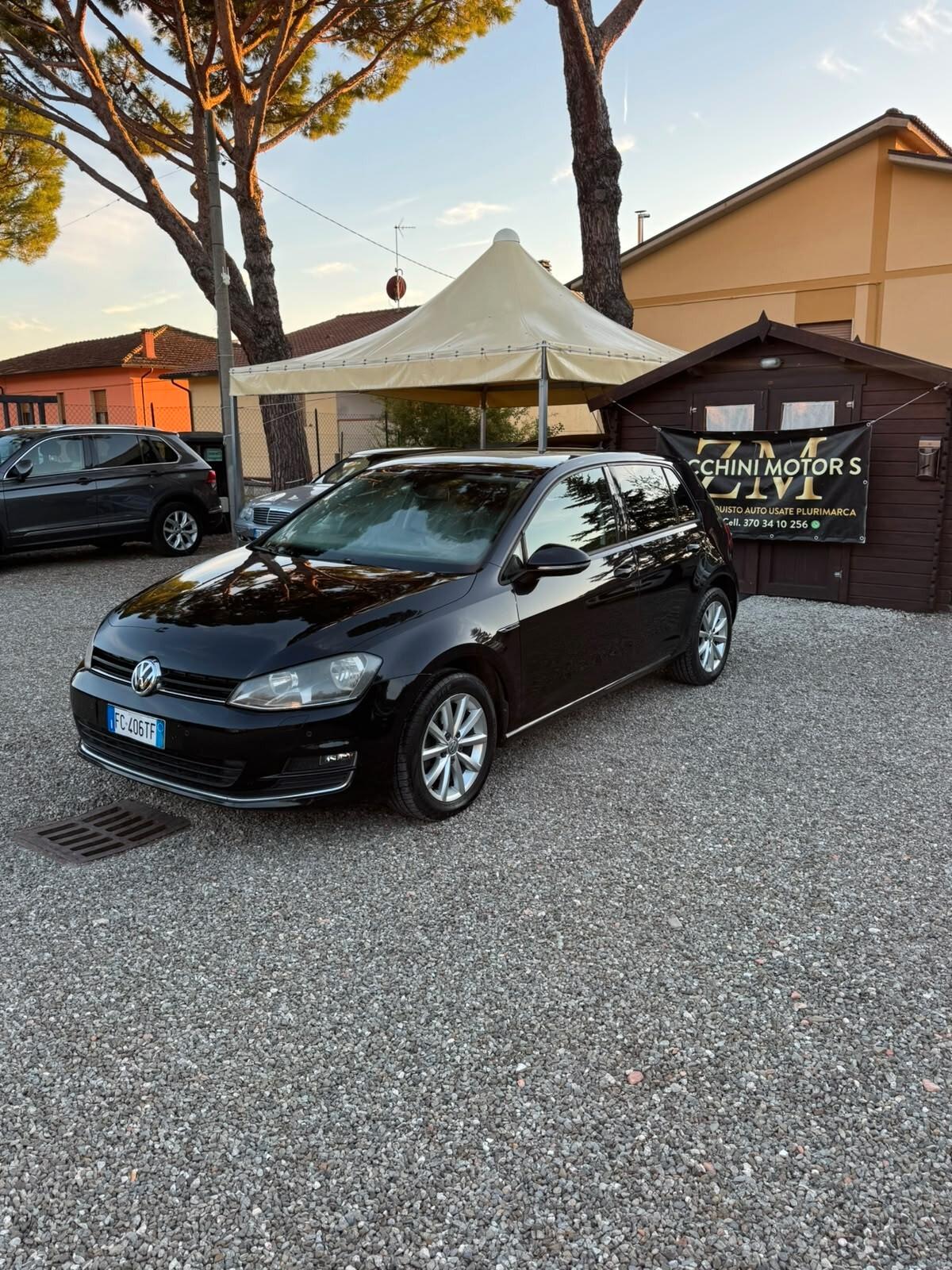 Volkswagen Golf 1.6 TDI 110 CV 5p. Executive BlueMotion Technology