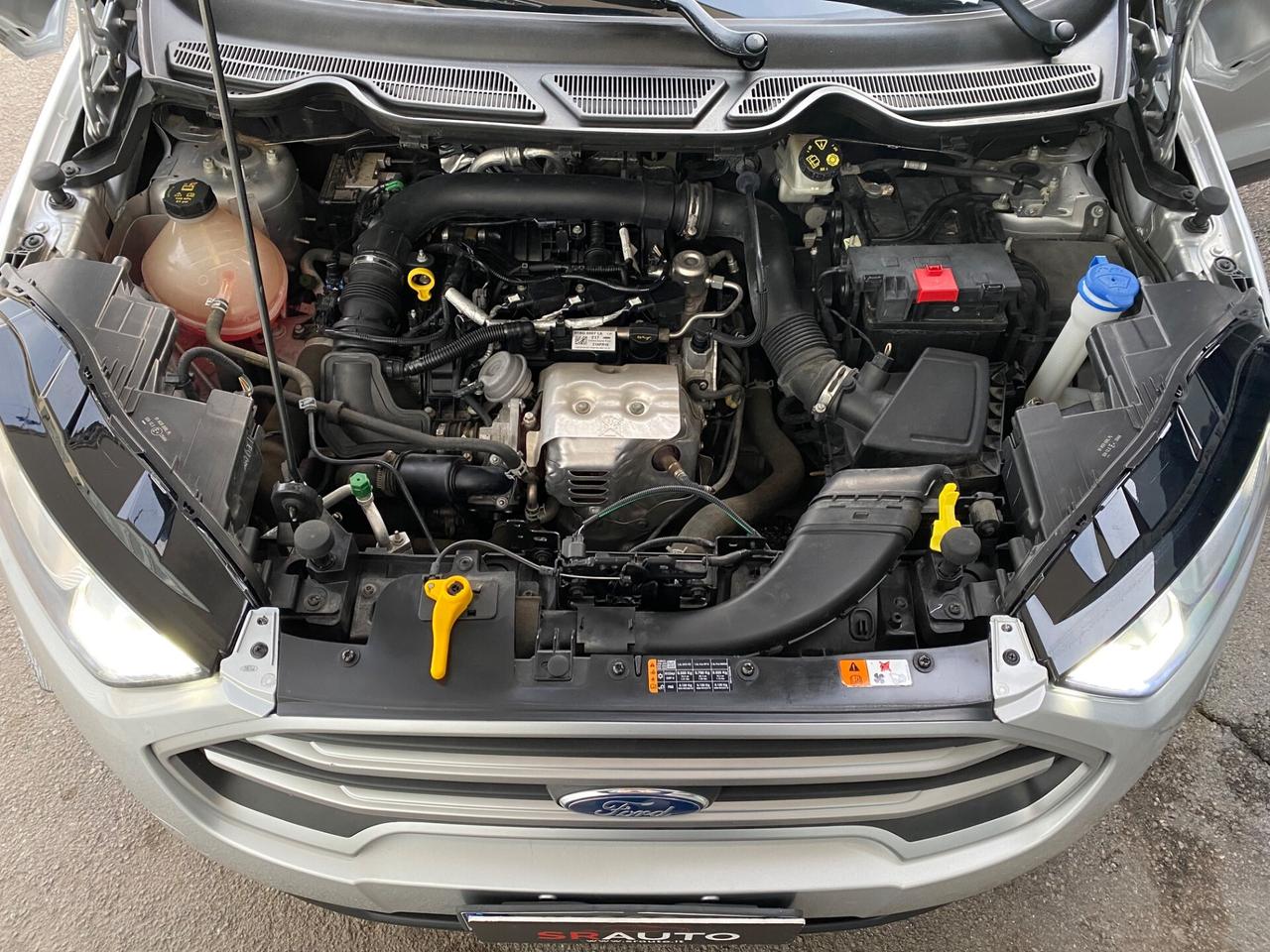 Ford EcoSport 1.0 EcoBoost 125cv S&S Plus - 2018