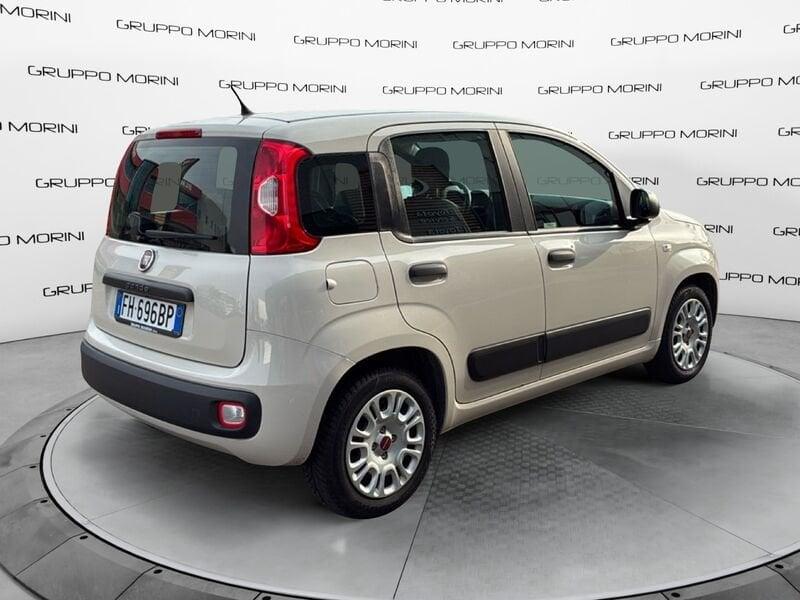 FIAT Panda Panda 1.2 Easy easypower Gpl 69cv