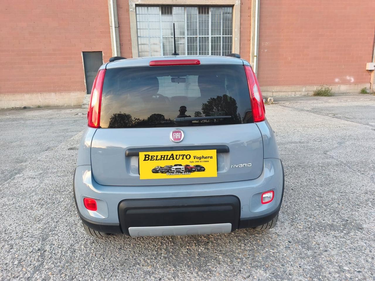 Fiat Panda 2022---1.0 Benzina Ibrida Neopatentati