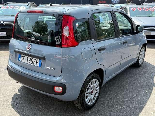 Fiat Panda Panda 1.0 firefly hybrid*GPL 24 MESI DI GARANZIA*