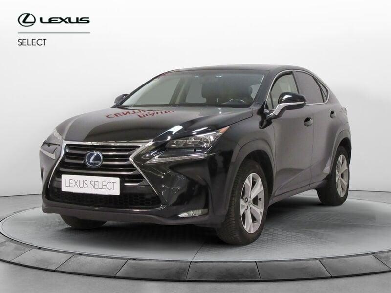 Lexus NX NX Hybrid 4WD Luxury