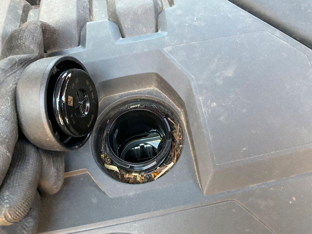 Volkswagen T-Roc 1.5 TSI ACT Advanced