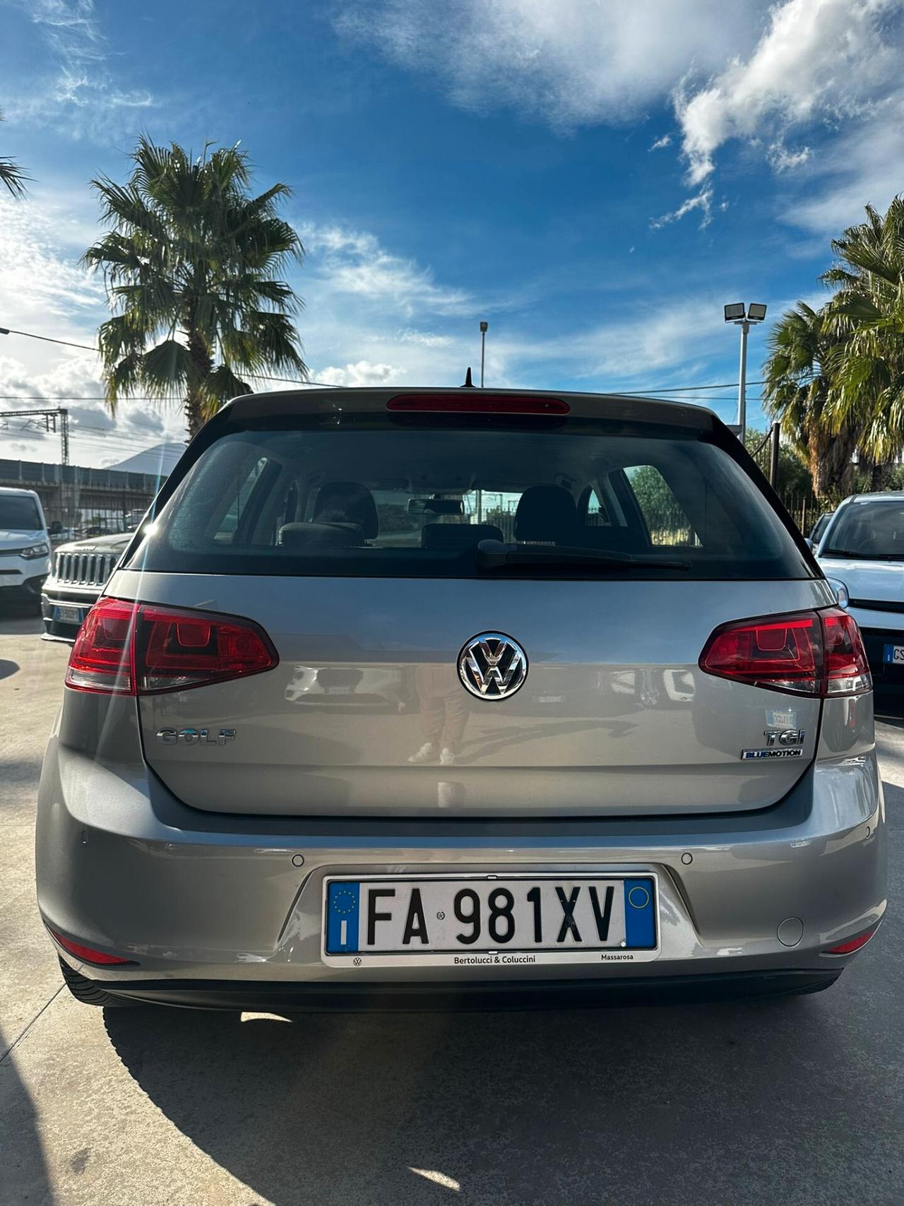 Volkswagen Golf 1.4 TGI 5p. Executive 4 Free BlueMotion