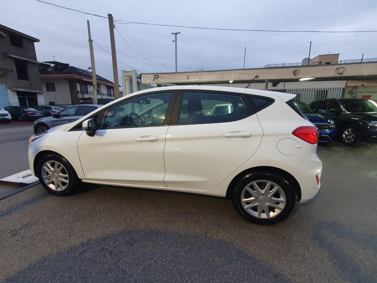 Ford Fiesta 1.5 TDCi 5 porte Plus