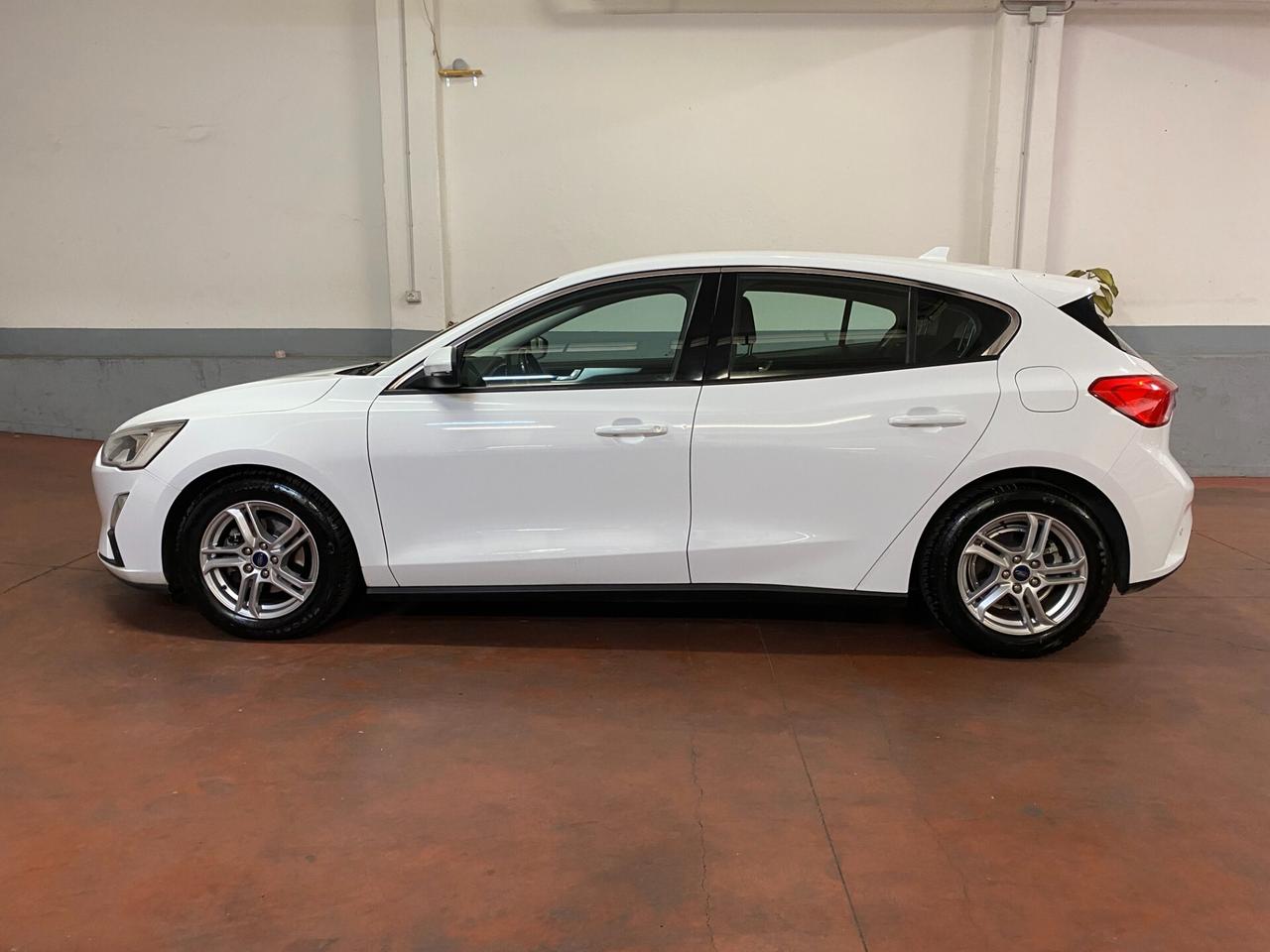 Ford Focus 1.5 EcoBlue 120 CV 5p. Business