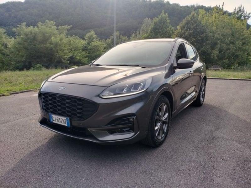 Ford Kuga Kuga 1.5 EcoBlue 120 CV 2WD ST-Line