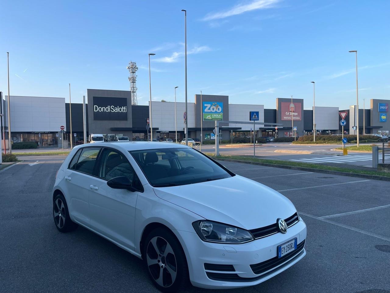 Volkswagen Golf 1.6 TDI 105 CV 5p. Business BlueMotion Technology