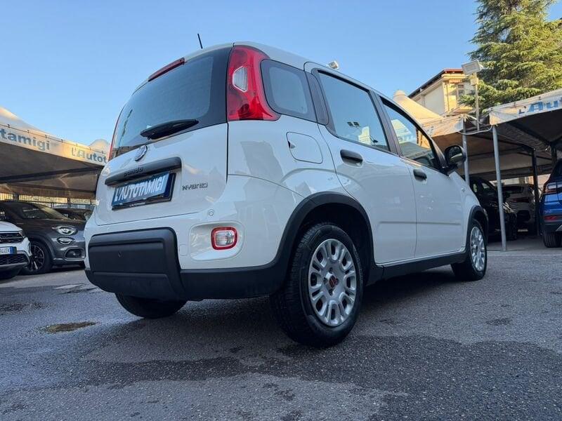 FIAT Panda Panda 1.0 firefly hybrid s&s 70cv