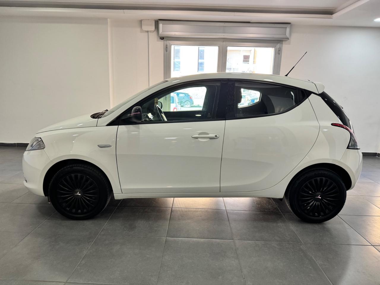 Lancia Ypsilon 1.3 MJT 16V 95 CV 5 porte S&S Platinum