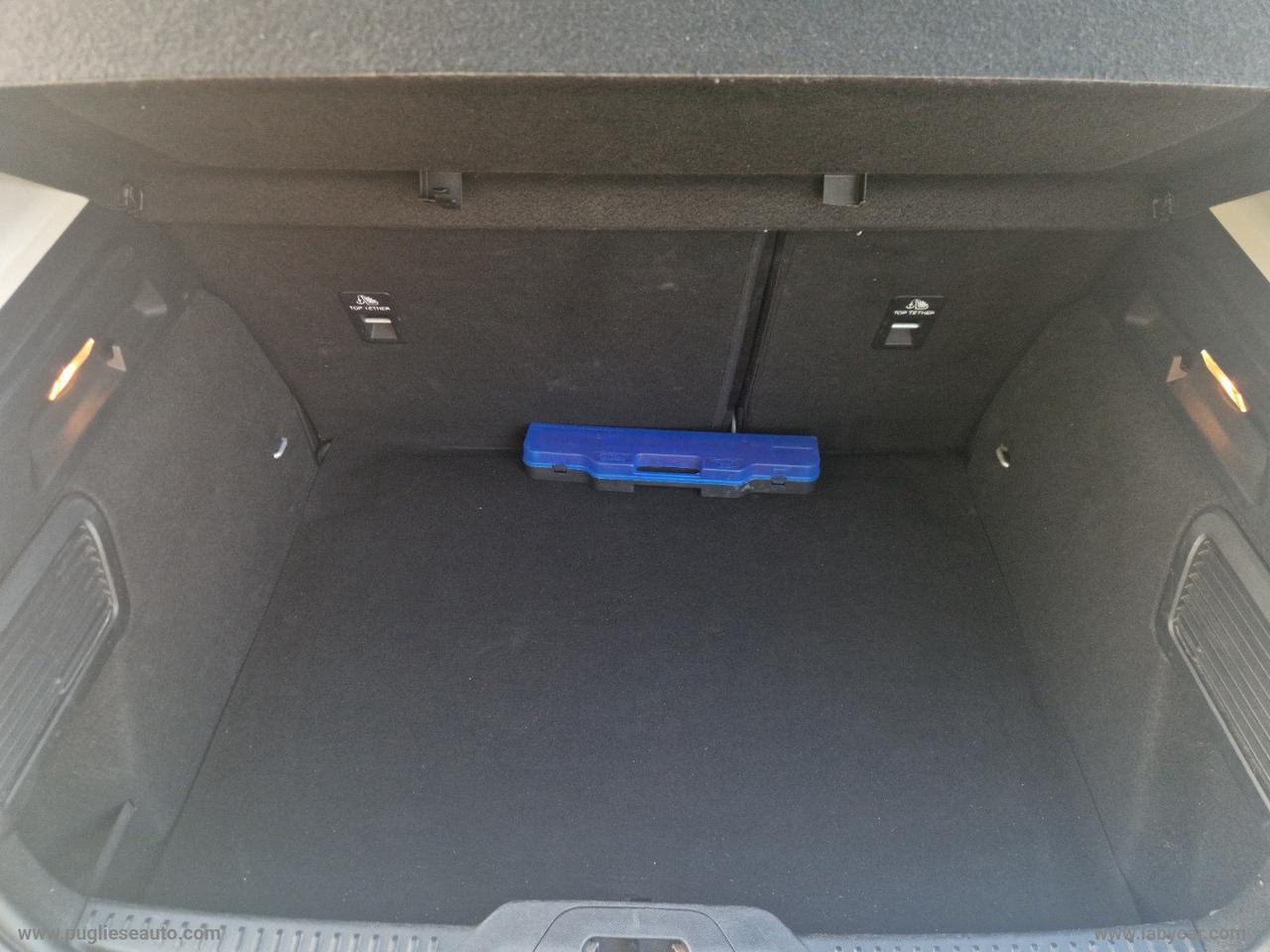 FORD Focus 1.5 EcoBlue 120CV 5p. Titanium