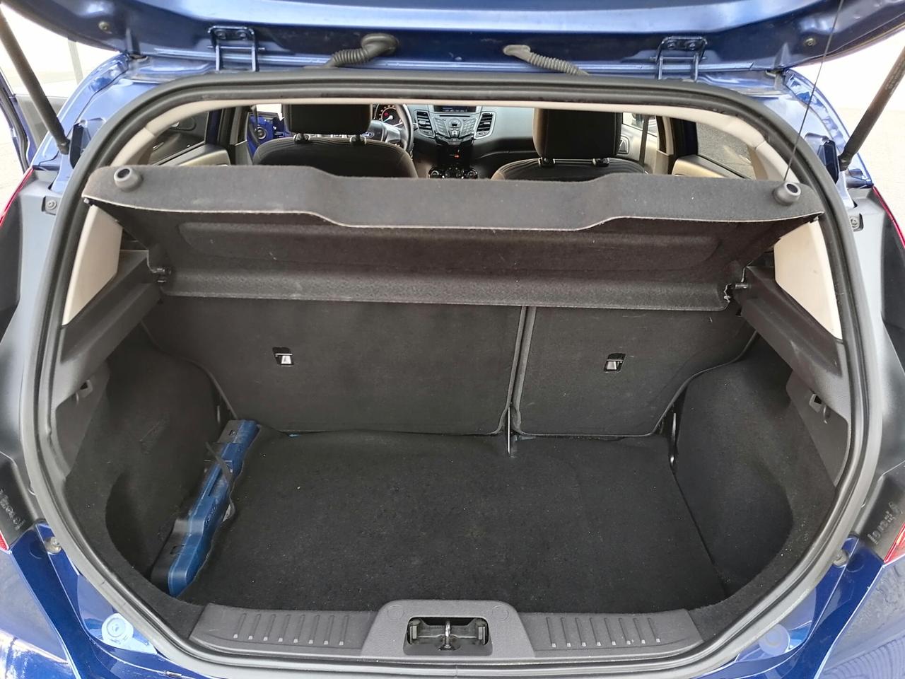 Ford Fiesta 1.5 TDCi 75CV 5 porte Titanium 2014