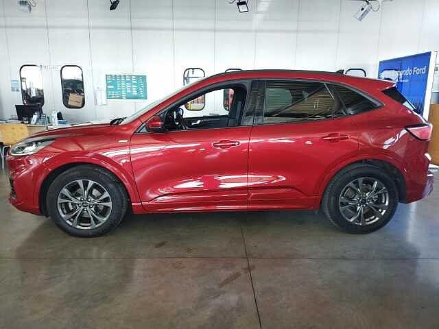Ford Kuga 2.0 EcoBlue Hybrid 150 CV 2WD ST-Line X