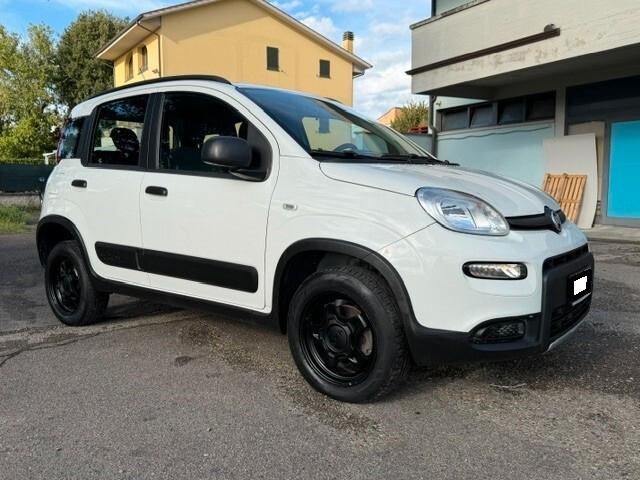 Fiat Panda 4x4 iva esposta