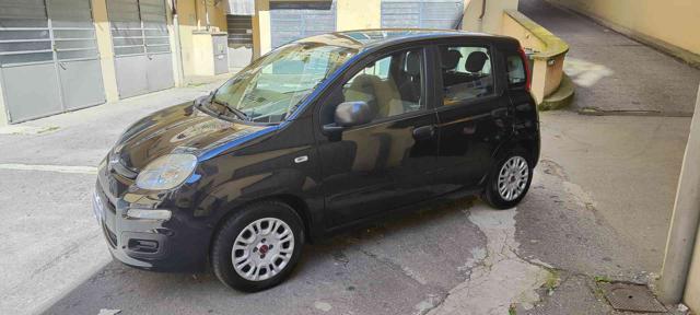 FIAT Panda 1.2 GPL Easy