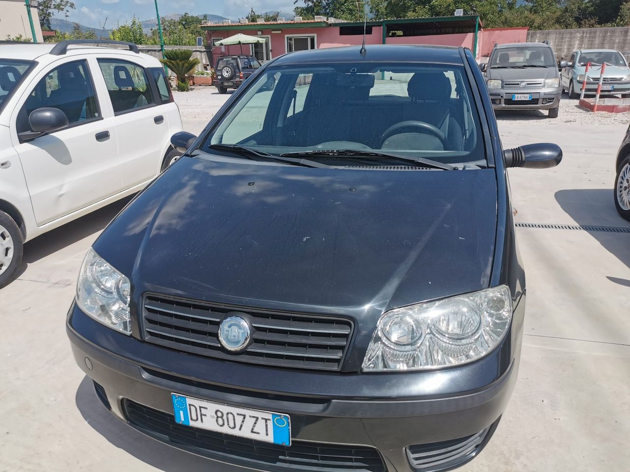 Fiat Punto Classic 1.3 MJT 16V 5 porte Dynamic