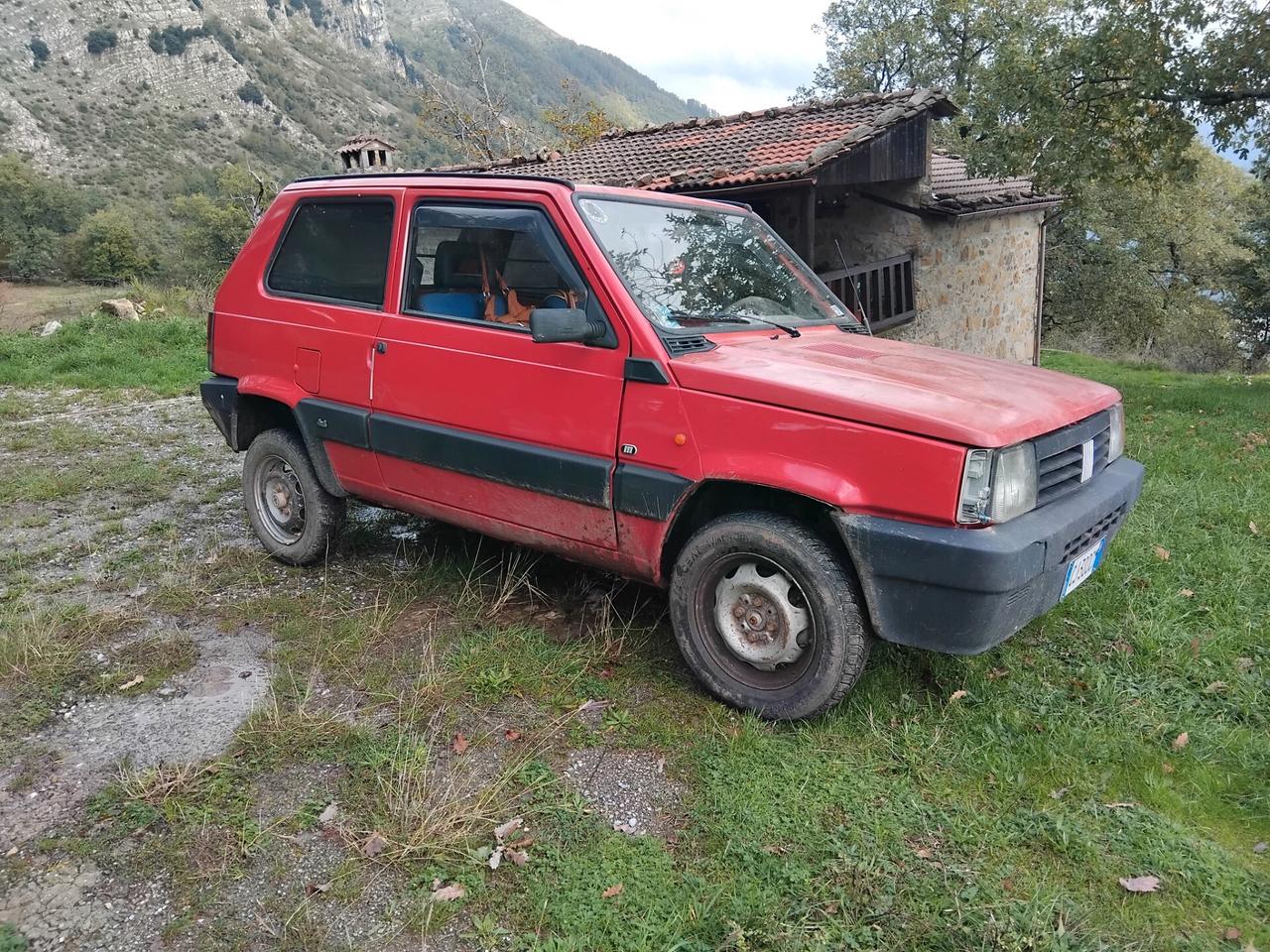 Fiat Panda van 1100 i.e. cat 4x4 2 posti