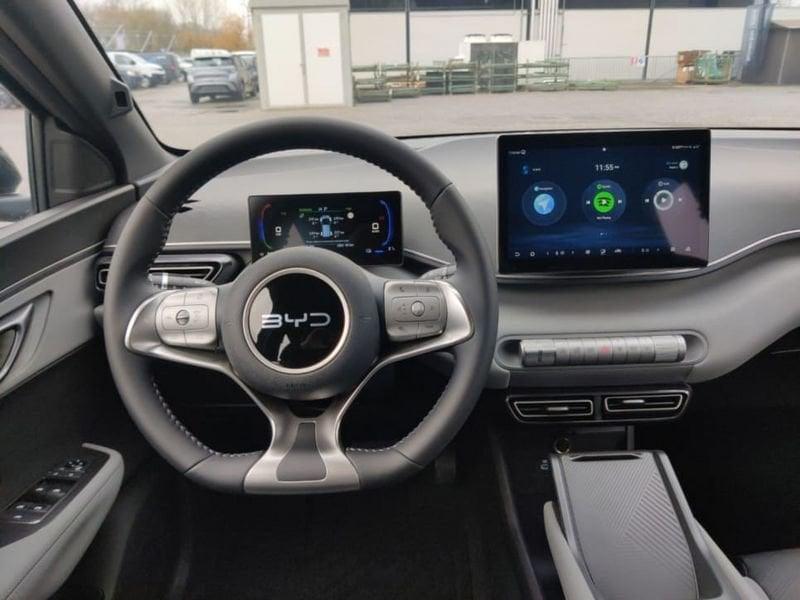 BYD Dolphin Surf Active